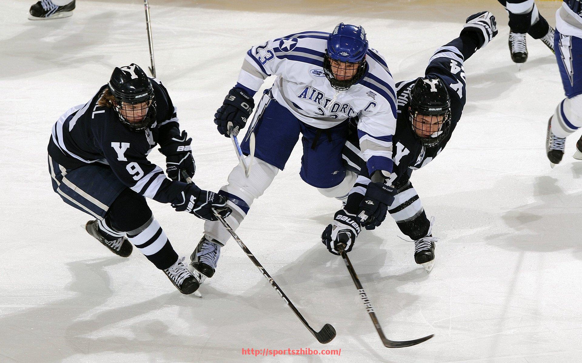 体育直播-火箭队主场比赛地点历史沿革及相关赛事介绍全面盘点